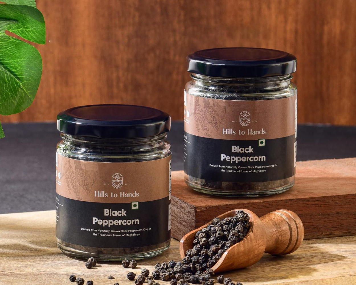 Hills to Hands spices packaging by LogoSayLove